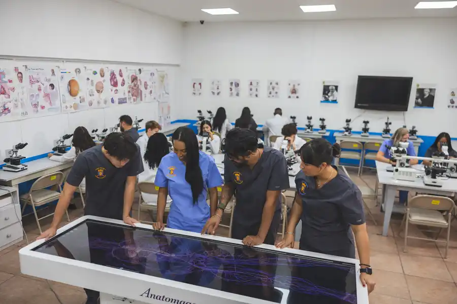 Digital dissection on the Anatomage table