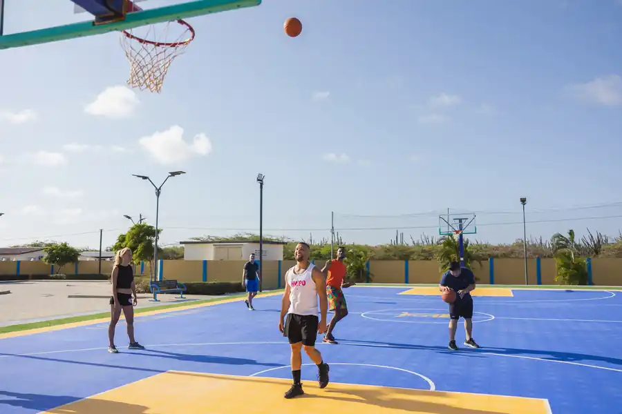 Sports fields and courts