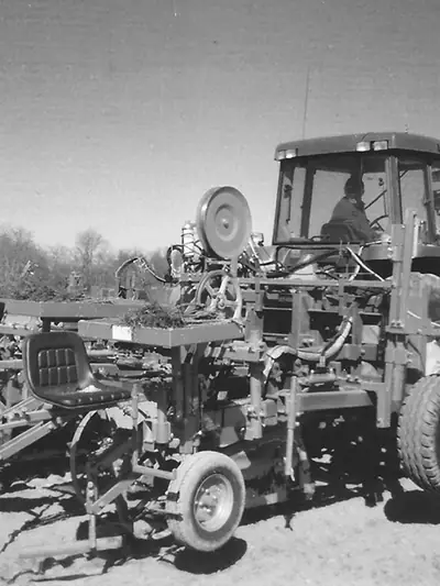Tractor working the rows at Duck Walk Vineyards